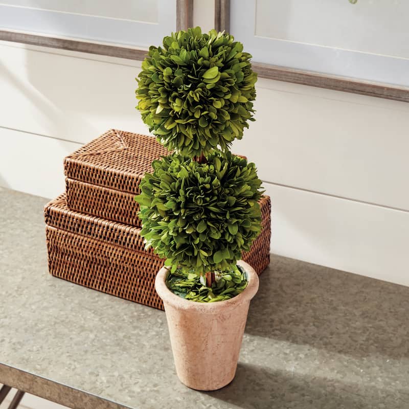 Boxwood Double Sphere Topiary 20"