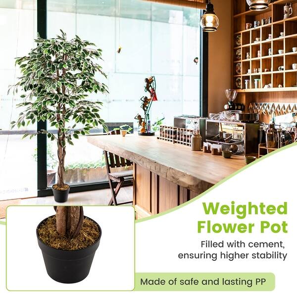potting mix for fiddle leaf fig 100% Organic Fiddle Leaf Fig Potting Soil Mix — Nutrient Rich, Well-Dr –  Houseplant Resource Center main image 0