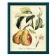 preview thumbnail 39 of 138, Printed Tuscan Fruits IV -Framed Print w/glass-Cherry Red 12x15 - Blue