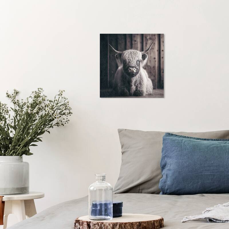 Wynwood Studio Canvas Animals Baby Highland Cow Brown and Dark Brown Rustic Wall Art Canvas Print - Brown, White - 12 x 12