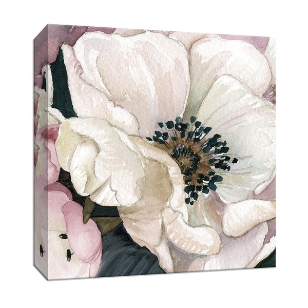 PTM Images 9-147774 PTM Canvas Collection 12" x 12" - "Anemone Study III" Giclee Flowers Art Print on Canvas
