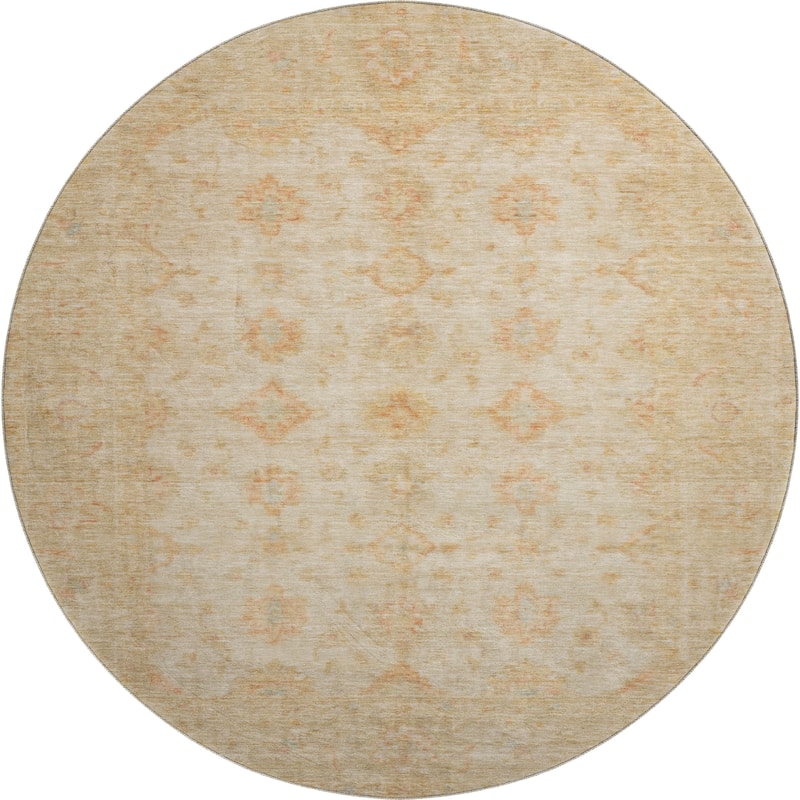 Premium Washable Super Soft Vintage Traditional Mayfield Rug
