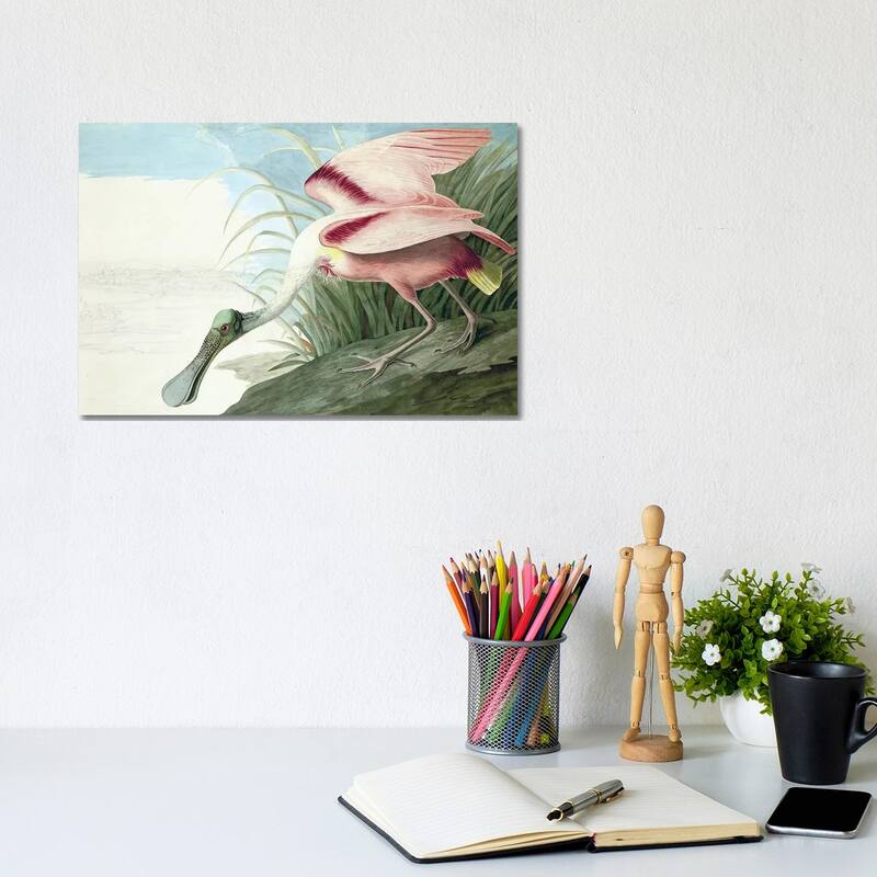 iCanvas "Roseate Spoonbill, The Birds Of America" by John J. Audubon, pub. 1827-38" by John James Audubon Canvas Print - 8x12x0.75