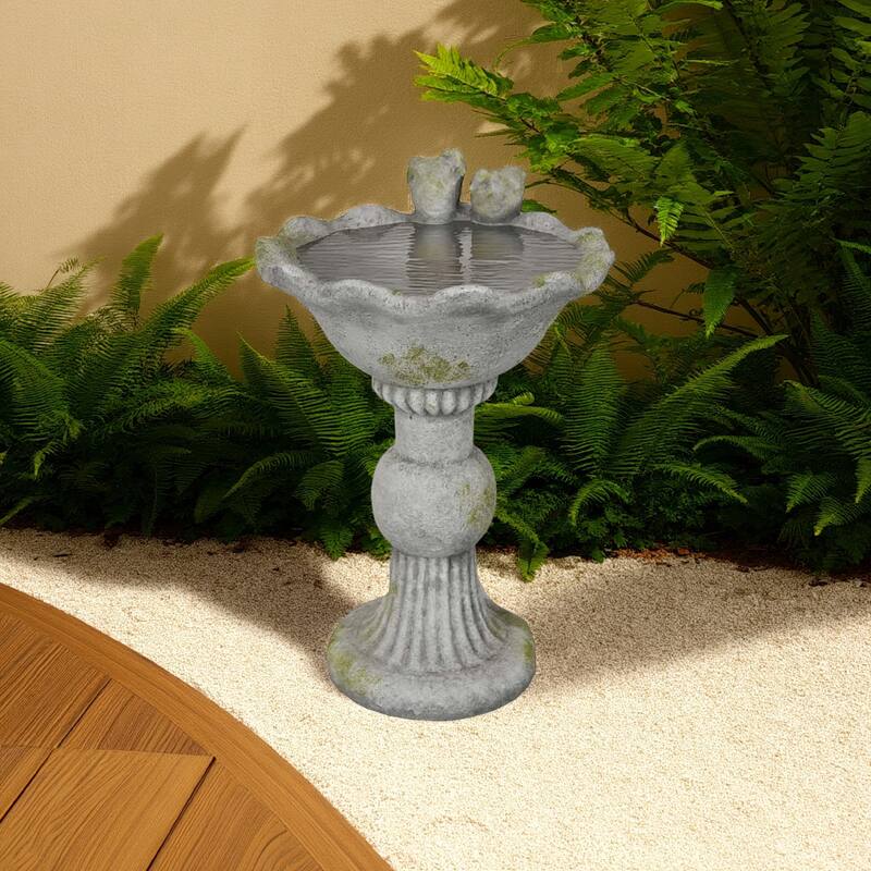 Ivina Bird Bath Feeder, Gray and Green, Cute Decorative, 16 Inch