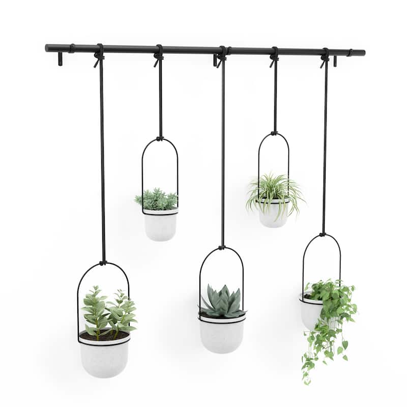 Umbra 1018086 Triflora 7-1/4" Wide Steel Hanging Planters