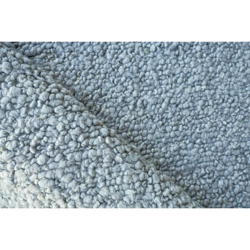 EXQUISITE RUGS Borelli Hand-loomed New Zealand Wool Light Blue Area Rug.