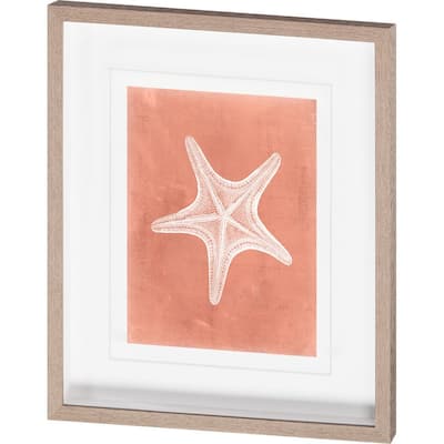 Sealife on Coral IV Framed Art Print
