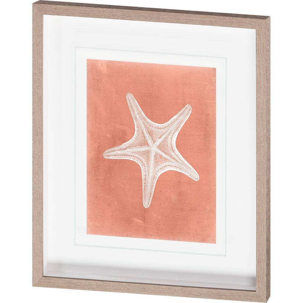 Sealife on Coral IV Framed Art Print
