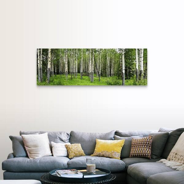 Shop Aspen Trees In A Forest Banff Banff National Park Alberta Canada Canvas Wall Art Free Shipping Today Overstock 16893072