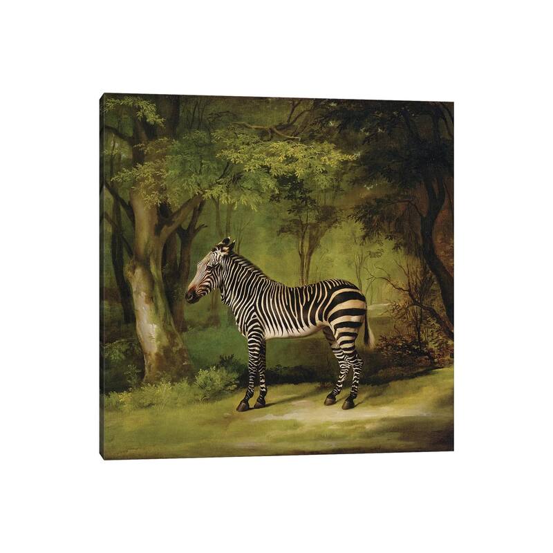 iCanvas "A Zebra, 1763 " by George Stubbs Canvas Print