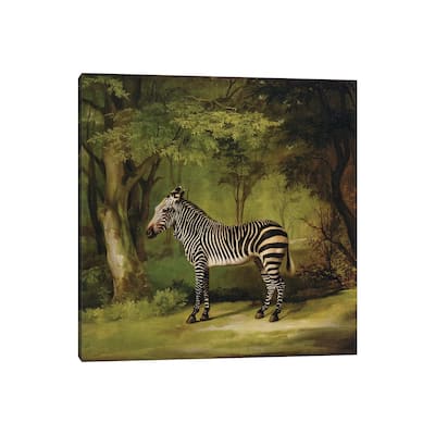 iCanvas "A Zebra, 1763 " by George Stubbs Canvas Print