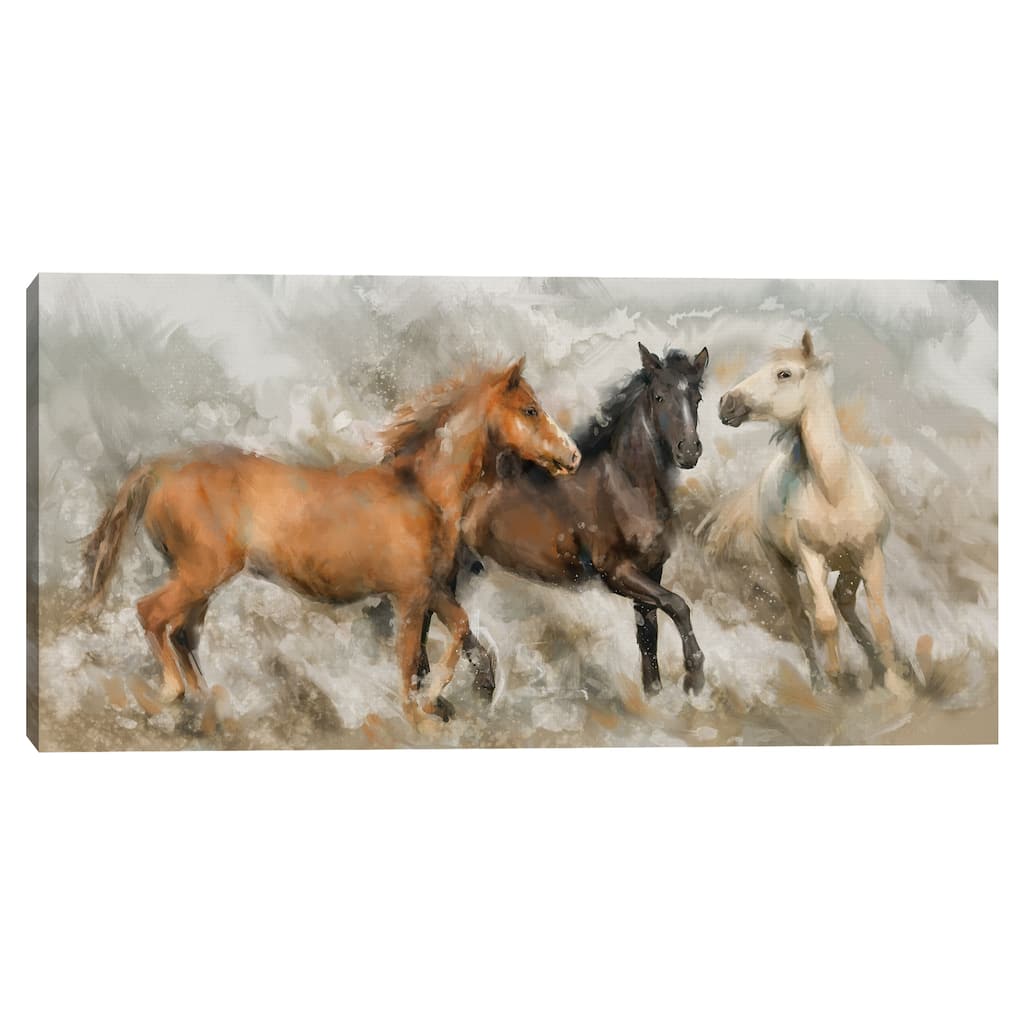 Home on the Range by Studio Arts Canvas Art Print