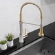 preview thumbnail 30 of 39, ZLINE Apollo Kitchen Faucet
