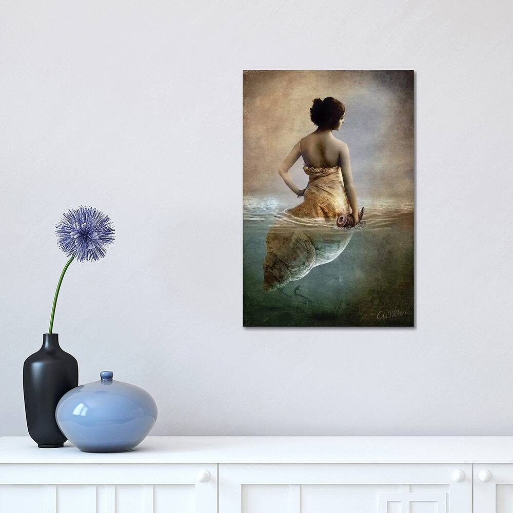 iCanvas "Hear Me Calling" by Catrin Welz-Stein Canvas Print