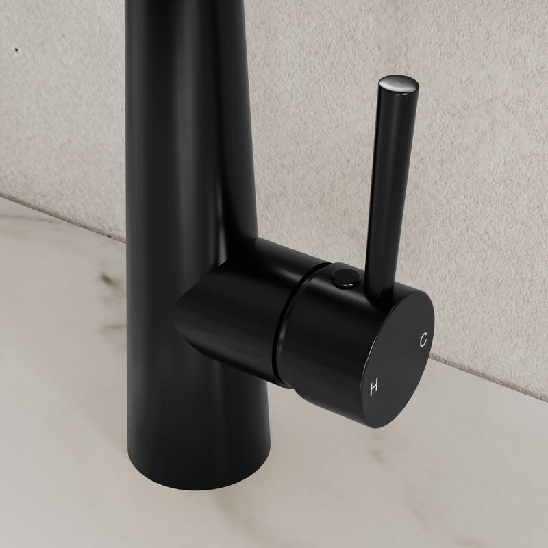 GRANDJOY Single Handle Pull Down Kitchen Faucet with Spot Resistant Finish