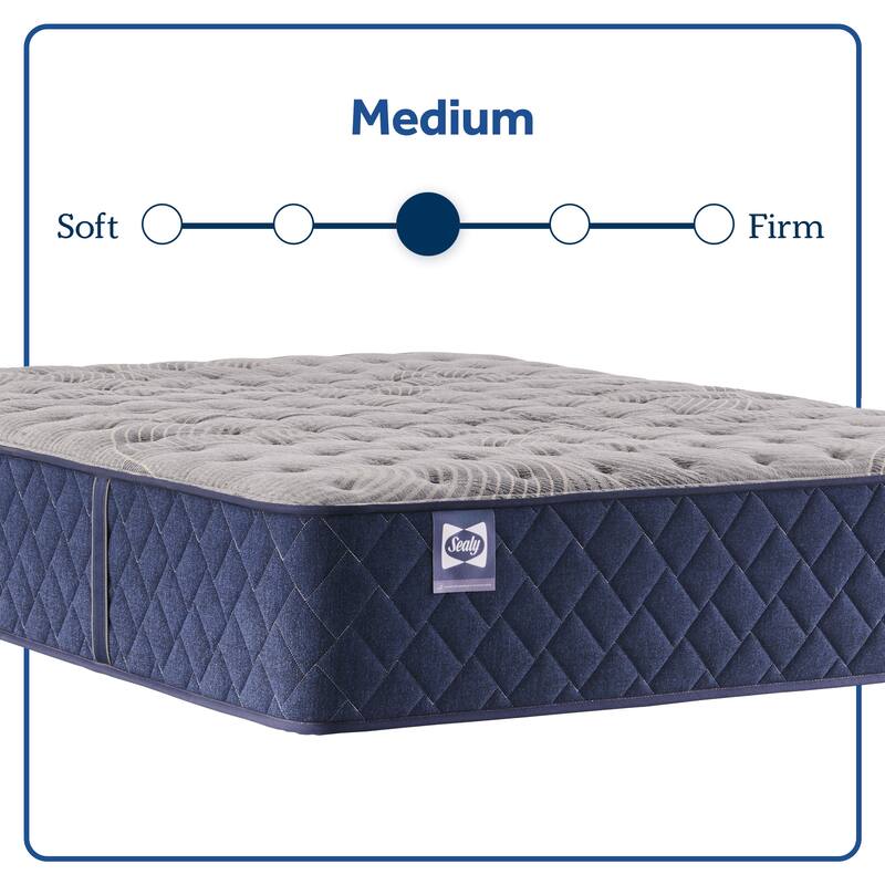Sealy Farely Elm 14" Soft Pillow Top Innerspring Mattress & 9" Foundation