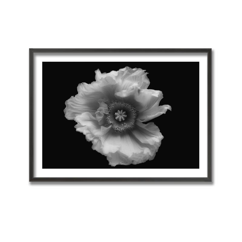 "Poppy in Mono" Framed Print Wall Art by Lotte Gronkjar