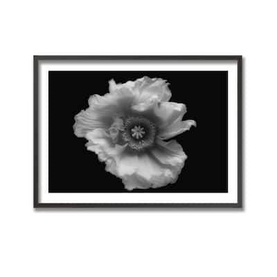 "Poppy in Mono" Framed Print Wall Art by Lotte Gronkjar