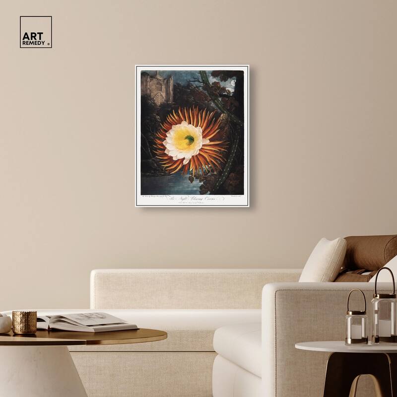 Night-Blowing Cereus 1807 Canvas by Art Remedy