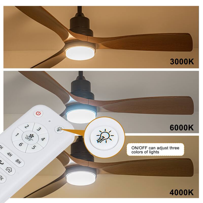 Morden LED Ceiling Fan with Light and Remote