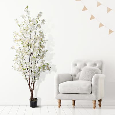Potted Cherry Blossom Tree 5.5'