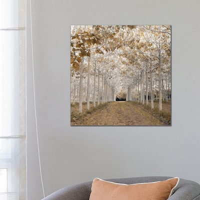 iCanvas "White Gold" by Assaf Frank Canvas Print
