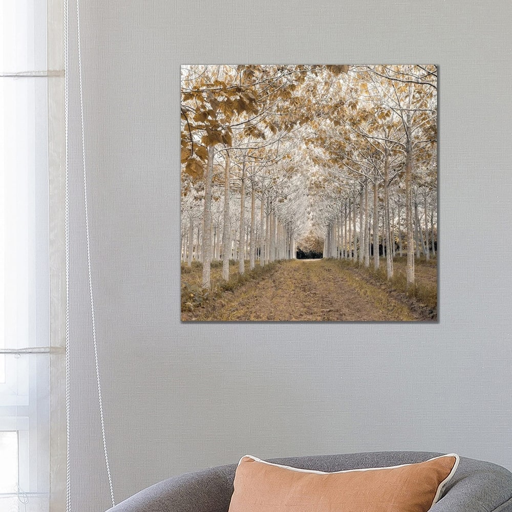 iCanvas "White Gold" by Assaf Frank Canvas Print