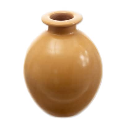 Novica Handmade Exquisite Earth Ceramic Decorative Vase
