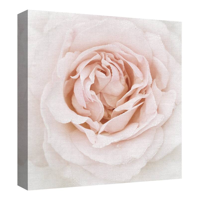 Dewdrop Rose by Rebecca Swanson Canvas Art Print