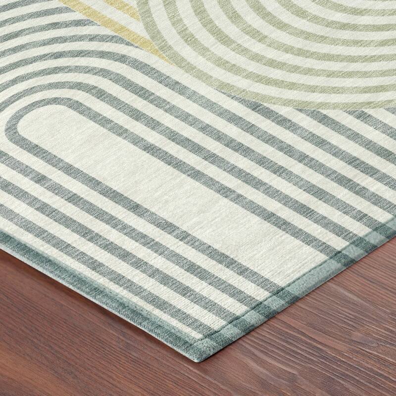 Machine Washable Indoor/ Outdoor Modern Basehor Chantille Rug