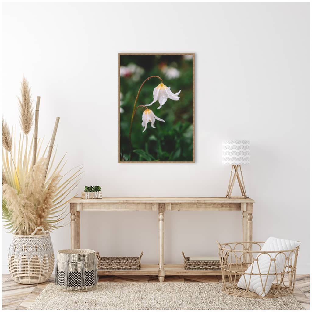 Kate and Laurel Sylvie Delicate White Floral Petals Framed Canvas by Patricia Hasz of Patricia Rae Photography