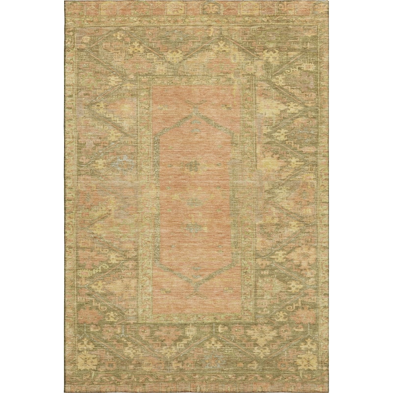 Premium Washable Super Soft Traditional Global Mayfield Rug