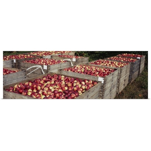 Shop "Heap of apples in wooden crates, Grand Rapids, Kent ...