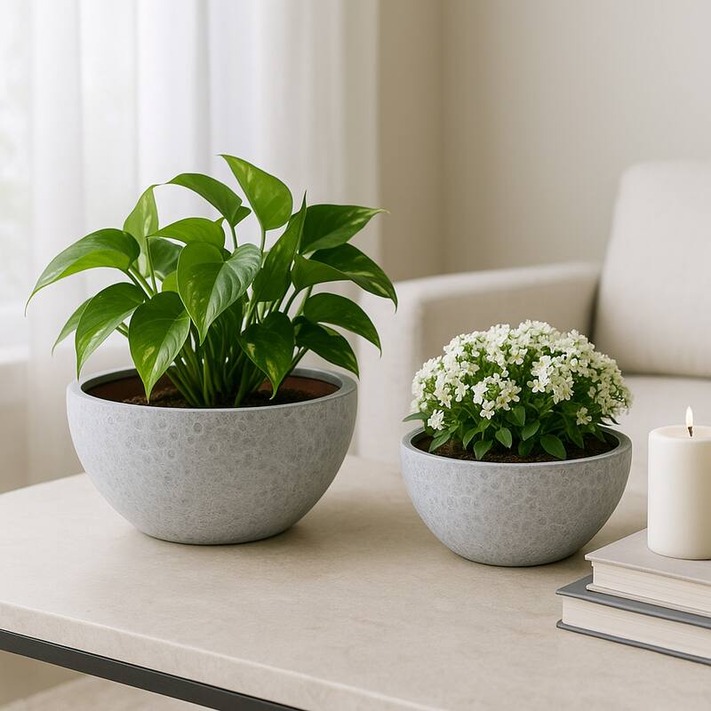 Pottery Bowl Planters Round Design Decorative Bowl Style (Set of 2)