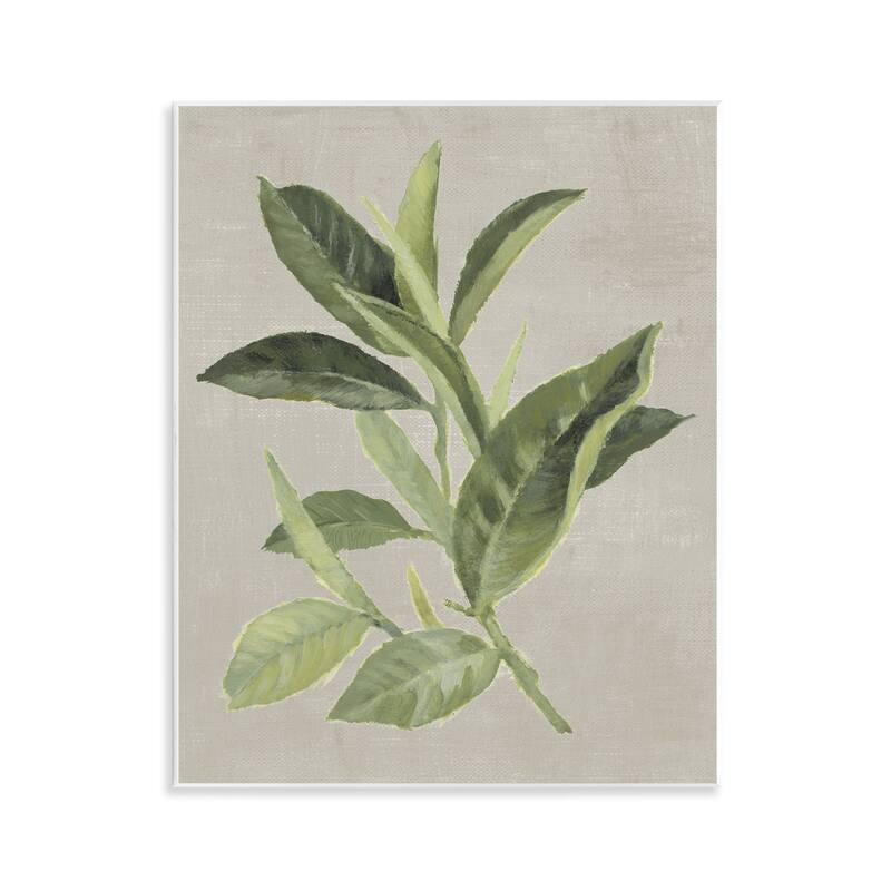 Stupell Green Tea Plant Leaf Wall Plaque Art Design By Lanie Loreth - 11 x 14