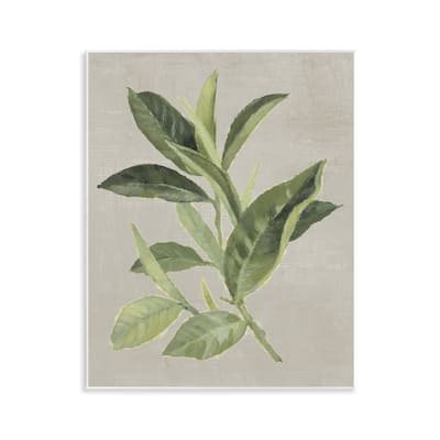 Stupell Green Tea Plant Leaf Wall Plaque Art Design By Lanie Loreth