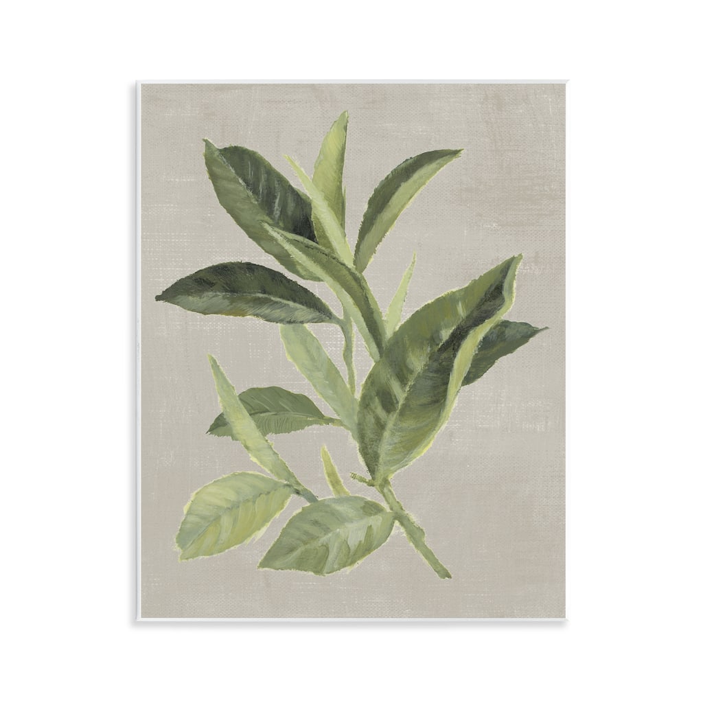 Stupell Green Tea Plant Leaf Wall Plaque Art Design By Lanie Loreth