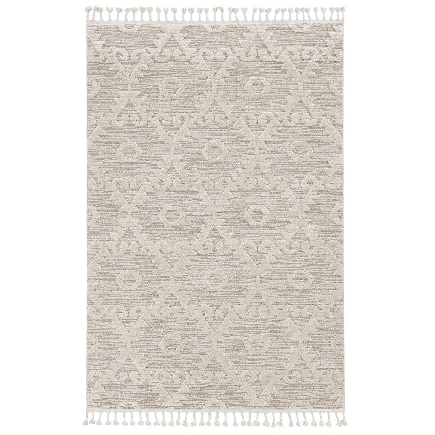 The Curated Nomad Roehamp Textured Southwestern Boho Rug with Fringe