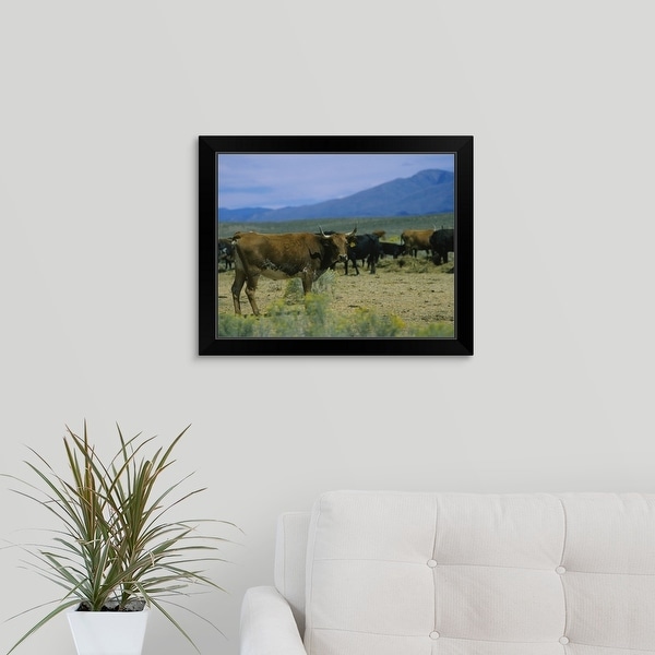 "Herd of cattle in a field, Taos, Taos County, New Mexico" Black Framed Print