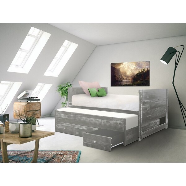 Taylor & Olive Begonia Twin Bed with Twin Trundle & 3 Built in