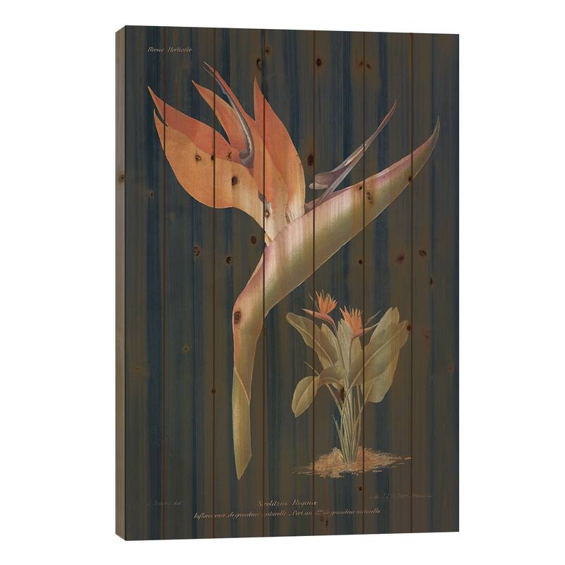 Stelitzia Reginoe Dark Blue Print On Wood by Wild Apple Portfolio - Multi-Color - 26x18x1.5