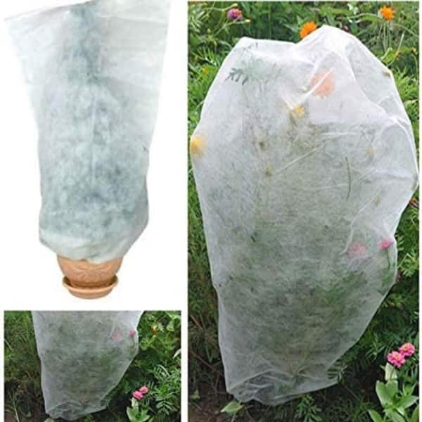 slide 2 of 5, Agfabric 24 in. H x 60 in. W, 0.95 oz. Plant Cover Plant Protection Cover(2pack) - 24"x60"2pack 24"x60"2pack