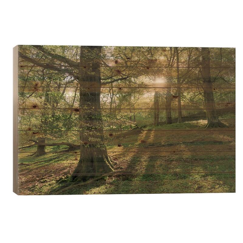 Summer Woodland Print On Wood by Adam Burton - Multi-Color - 26x40x1.5