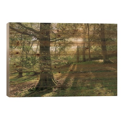 Summer Woodland Print On Wood by Adam Burton - Multi-Color