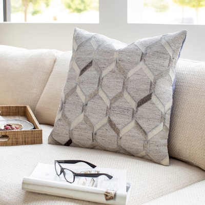 Decorative Schroeder Light Grey 18-inch Throw Pillow Cover