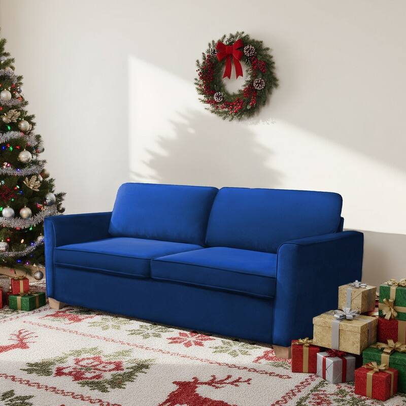 MIxoy Modern Velvet Queen Size 2-in-1 Pull Out Sleep Sofa Bed