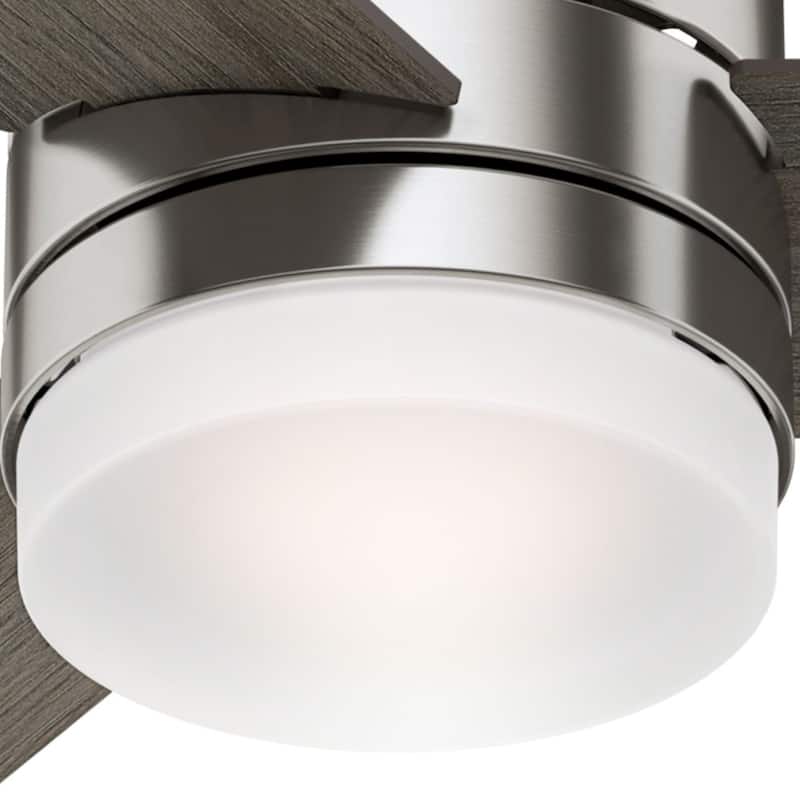 Hunter 54" Exeter Ceiling Fan with LED Light Kit and Remote Control