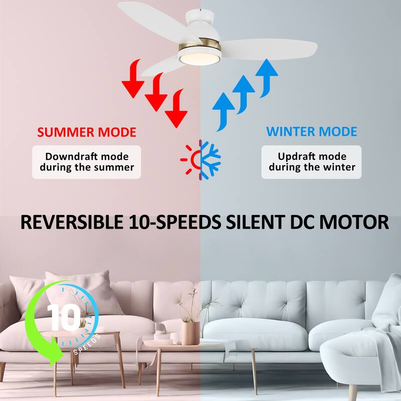 CARRO Quest 48" 3-Blade Smart Ceiling Fan with LED Light and Remote-Flush Mount