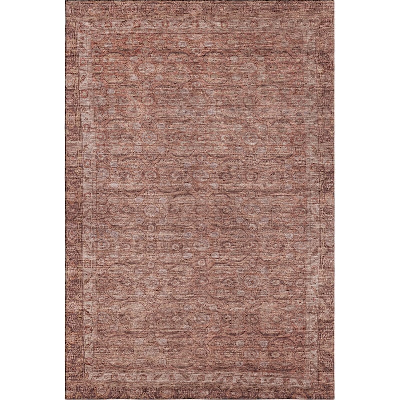 Premium Washable Super Soft Vintage Traditional Mayfield Rug