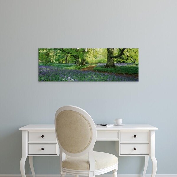 Easy Art Prints Panoramic Image 'Bluebells in a forest, Thorp Perrow Arboretum, North Yorkshire, England' Canvas Art